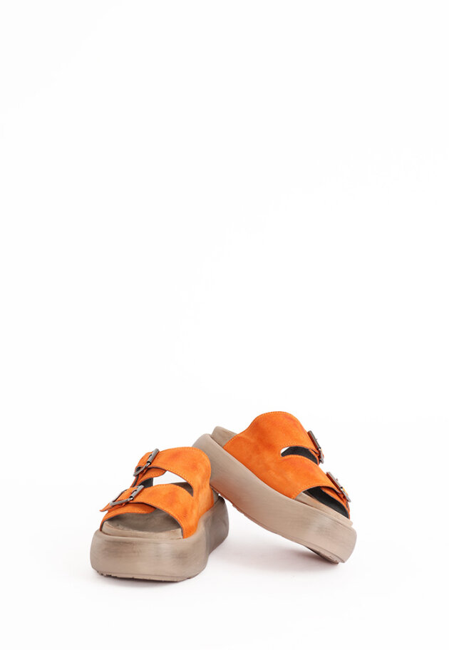 Lofina - Sandal in suede with buckles