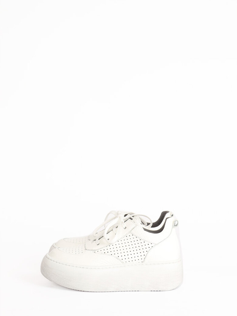 Lofina - Sneakers med snøre