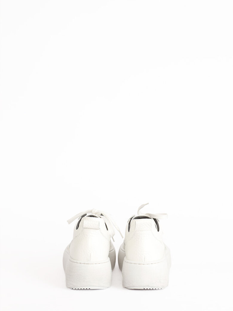 Lofina - Sneakers med snøre