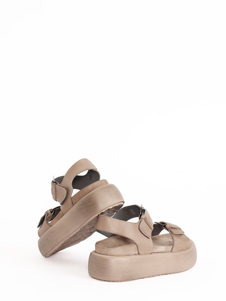 Lofina - Sandal med spænder