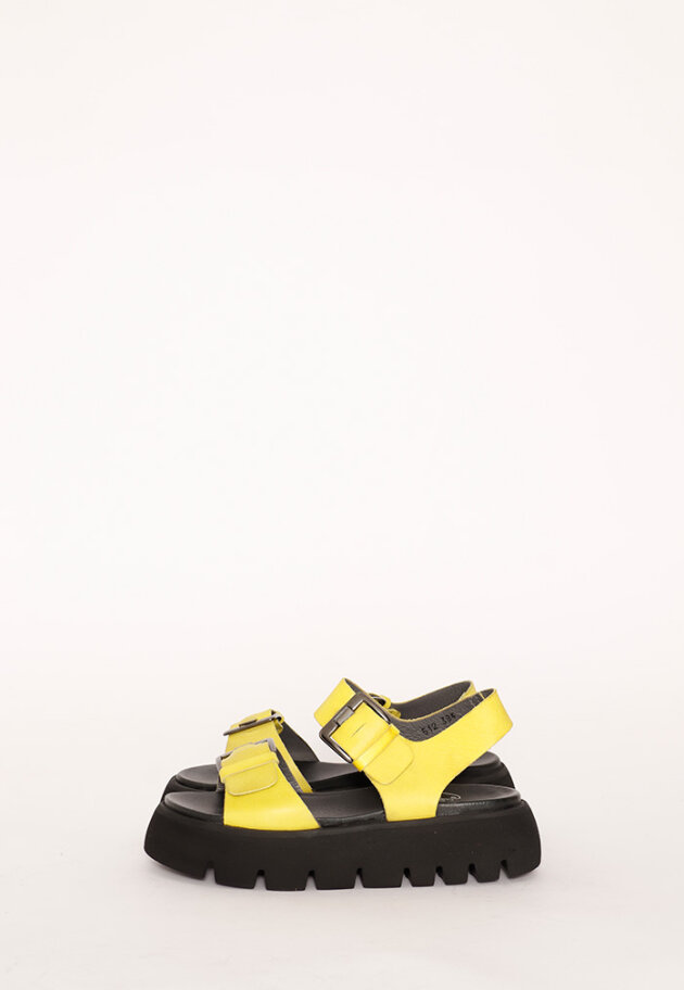 Lofina - Lofina sandal with buckles