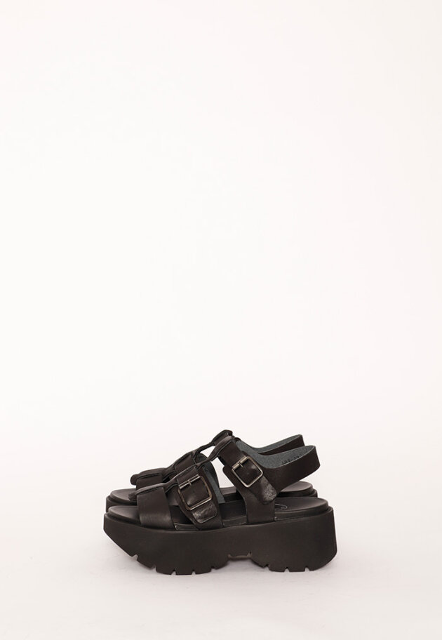 Lofina - Lofina sandal with buckles