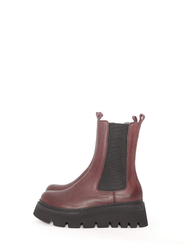 Lofina - Boot with elastic