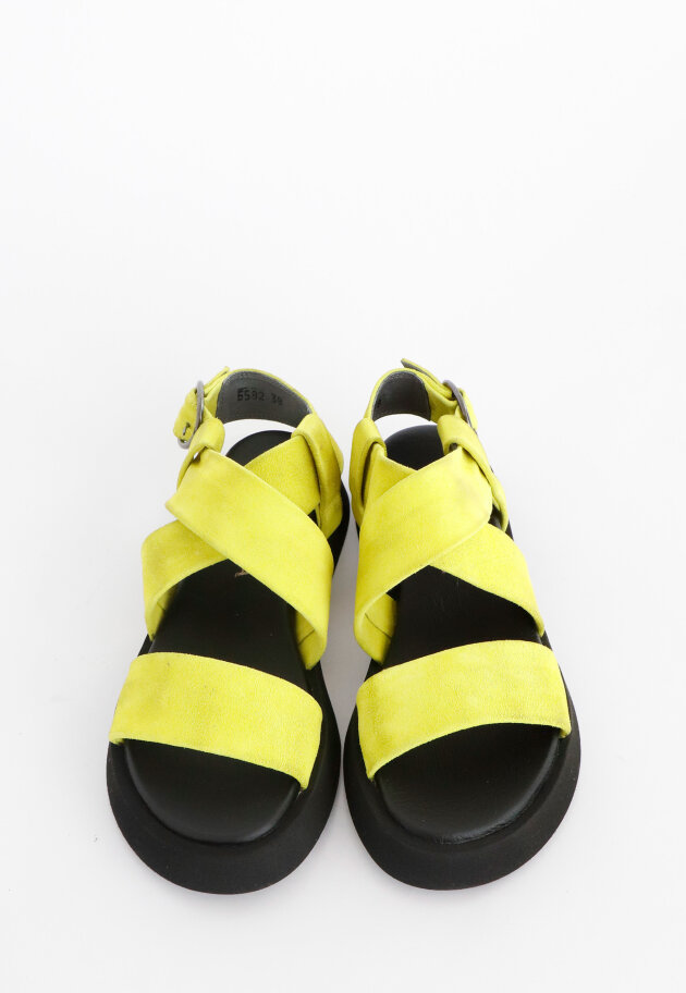 Lofina - Sandal in suede with buckle