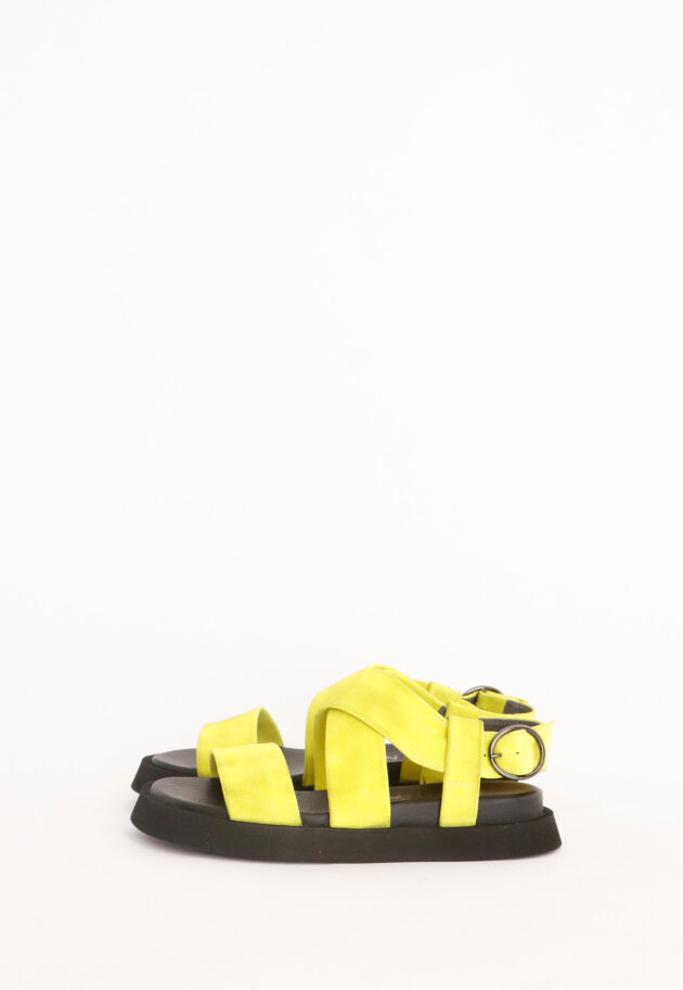 Lofina - Sandal in suede with buckle