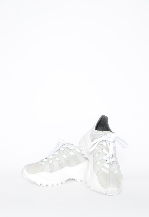 Sample shoe
