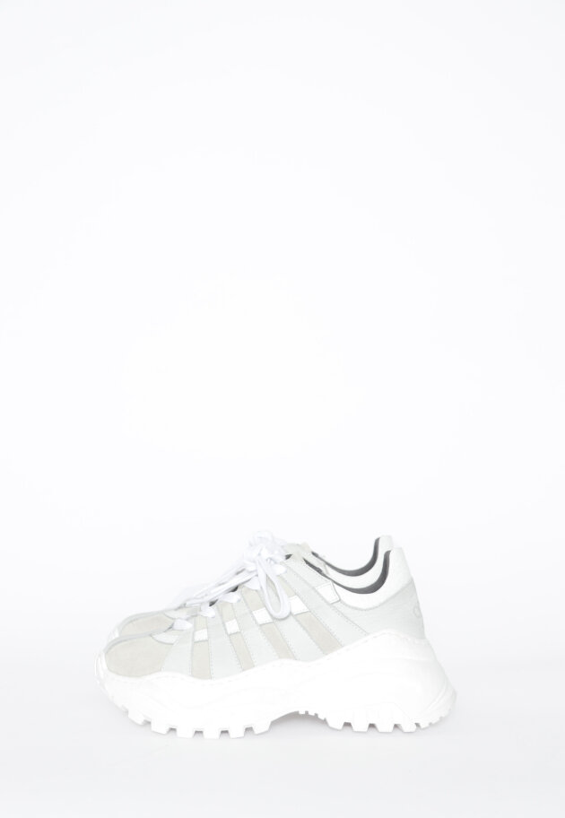 Sample shoe