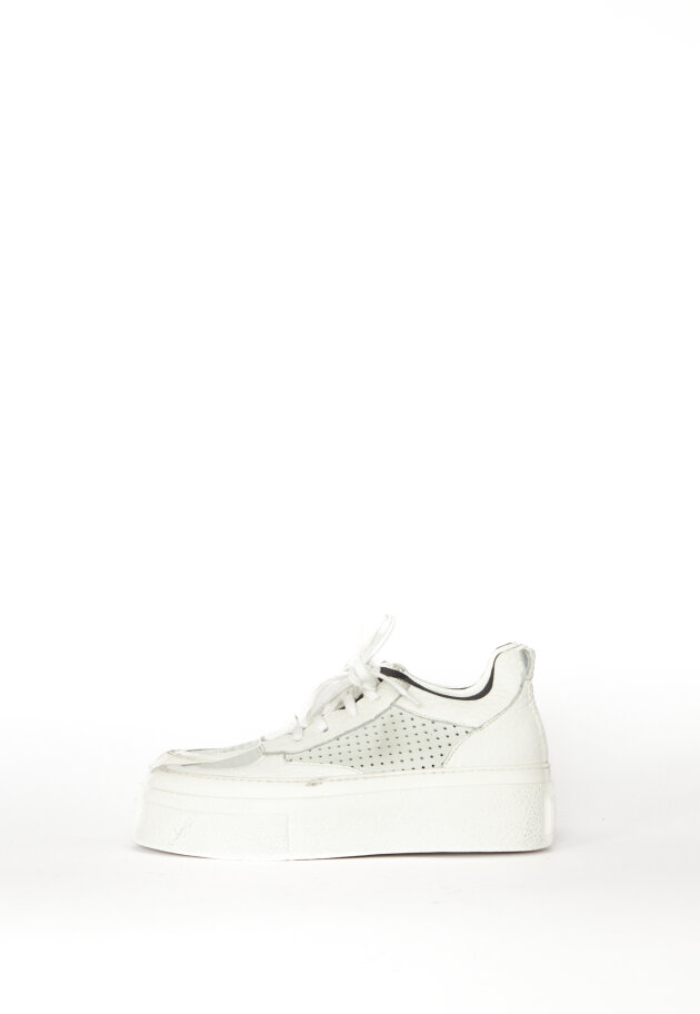 Lofina - Sample sneakers